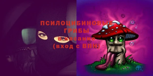 PSILOCYBIN Арсеньев