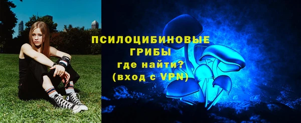 PSILOCYBIN Арсеньев