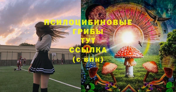 PSILOCYBIN Арсеньев