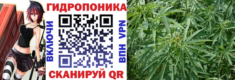 Марихуана MAZAR  Купить где  Сенгилей 